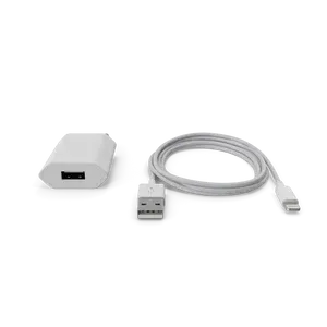 Apple punjač za iPhone
