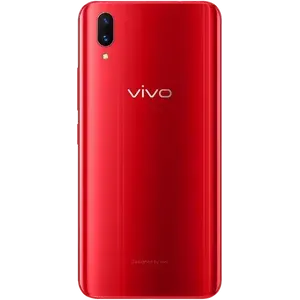Vivo X21